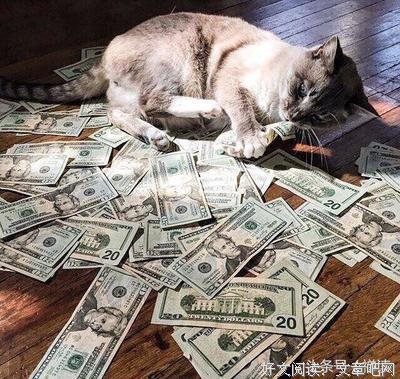 静句子大全