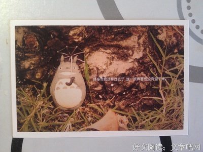宫崎骏的经典的句子