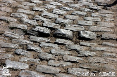 《鲁贝之灯》经典影评集