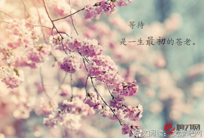 杂选的优美句子