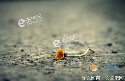 关于么会气的语句