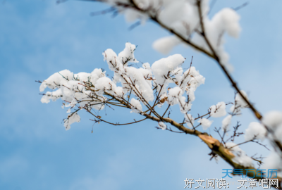关于多少孤寂时光，它温暖了我的心房。的优美句子