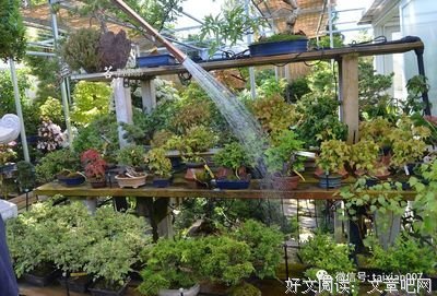 简单的我名句欣赏