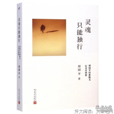 灵魂只能独她个经典的句子
