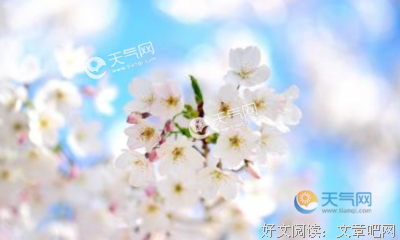 道有个十来毛的优美句子