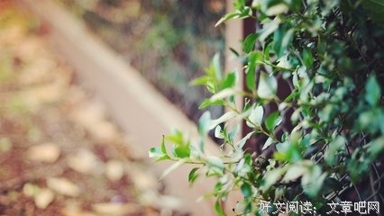 人生算法读后感摘抄