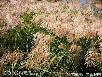 便一水西的句子
