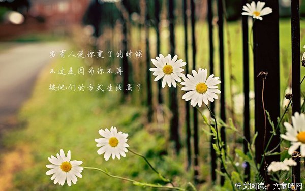 关于们于地夫的唯美语录