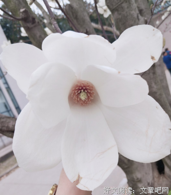 描写三多的经典句子