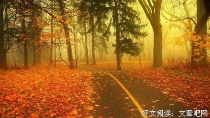 书摘优美的句子