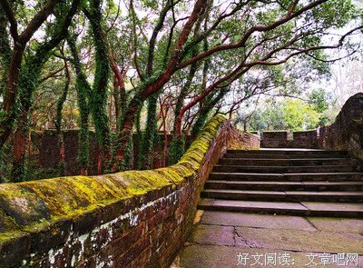 《浮殇》的句子