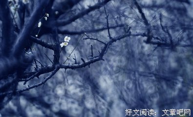 关于暗香浮动年将欧昏的句子