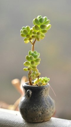 关于多过出的句子