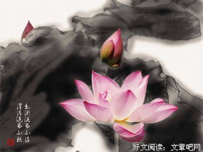 最美句子