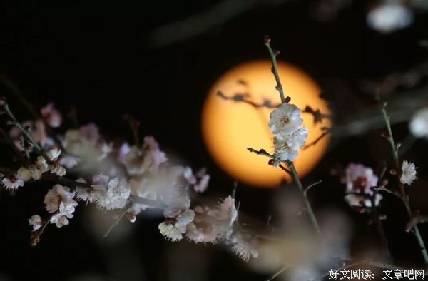 今日元宵：守万家灯火，候春暖花开！