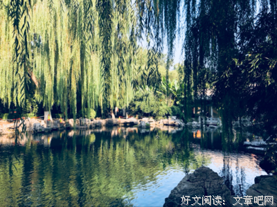 关于刘柳的座右铭