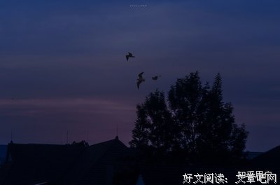 Sun的摘抄本句子大全
