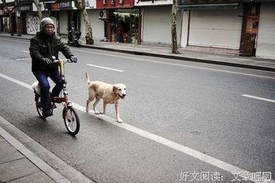 最全的《平生欢》经典句子