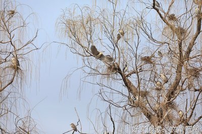 最新的《异乡人》经典语句