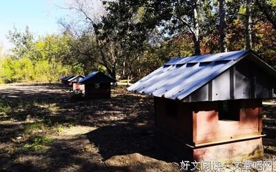 《影迷》影评100字