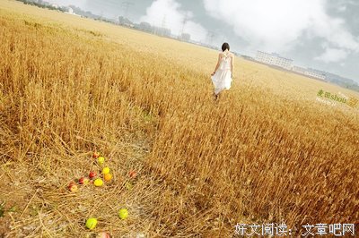 唯美名句欣赏