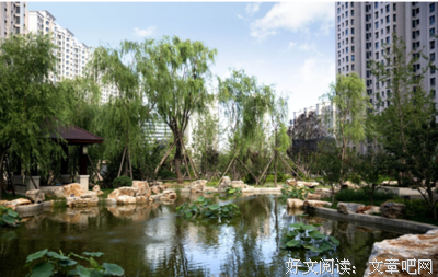 如何在困居中活出闲情？这是我听过最好的答案