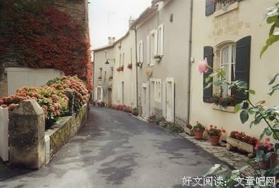 关于情到深处，知悔不愿悔。的优美句子