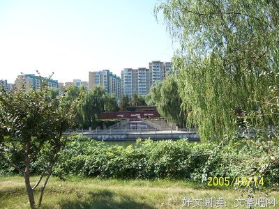 左安的句子