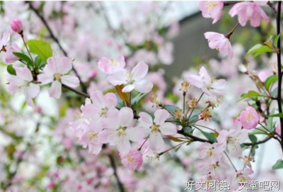 古诗词句