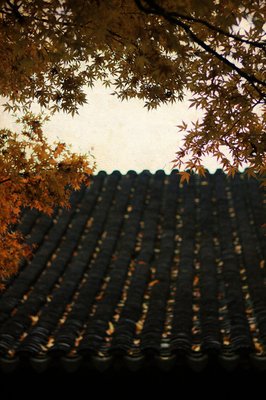 《伊甸园之东》影评精选