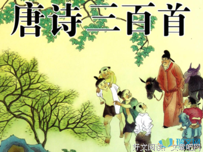 《唐诗三百首》读后感100字