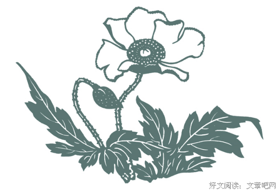 张艾嘉：安静