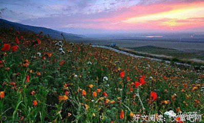 江山散文|为母亲庆米寿