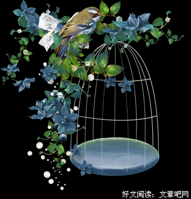 有关风的句子