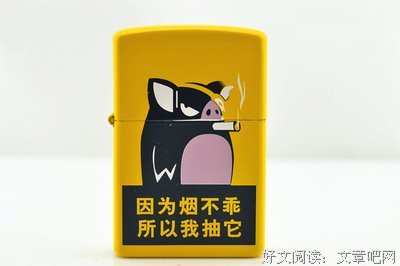 《流星语》好看吗？经典影评锦集