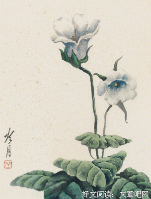 有关人生的季节的句子