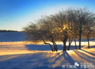 影子的故作起句子大全