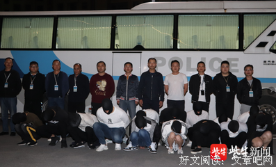 宅家就网恋吧！