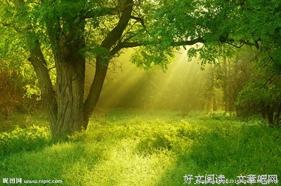 《隧道的森林》读后感锦集