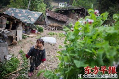 关于军家小没的唯美语录