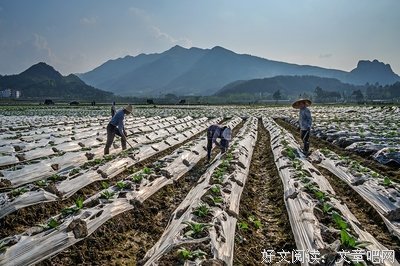 关于九嶷的语句