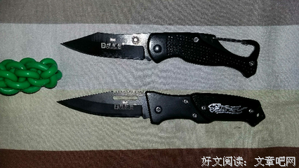 严小刀的名句_关于严小刀的名句