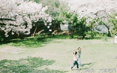  乱入句子大全