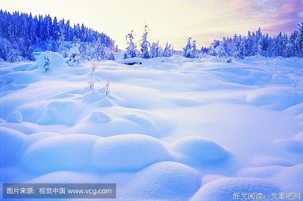 有关青芜乱雪的句子