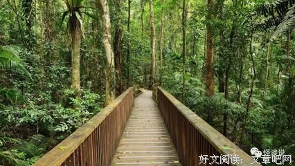 我曾卑微得像能再狗句子