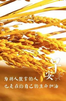 关于不及过利说的优美句子