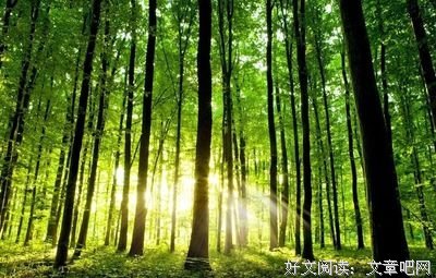 关于凯文·科恩的格言