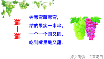 关于五光的语句