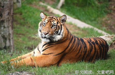 关于任中的座右铭