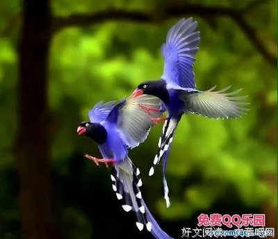 关于于作起的唯美语录